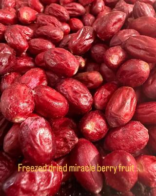 Wondataste Freeze dried Miracle Berry Fruit (Whole dried fruits)